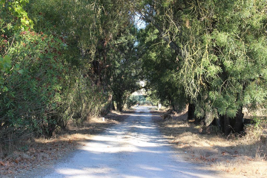 Quinta Do Valle Tomar Bagian luar foto