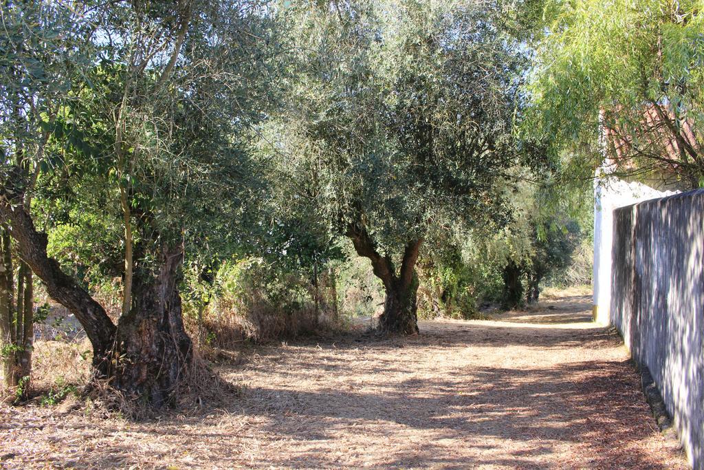 Quinta Do Valle Tomar Bagian luar foto