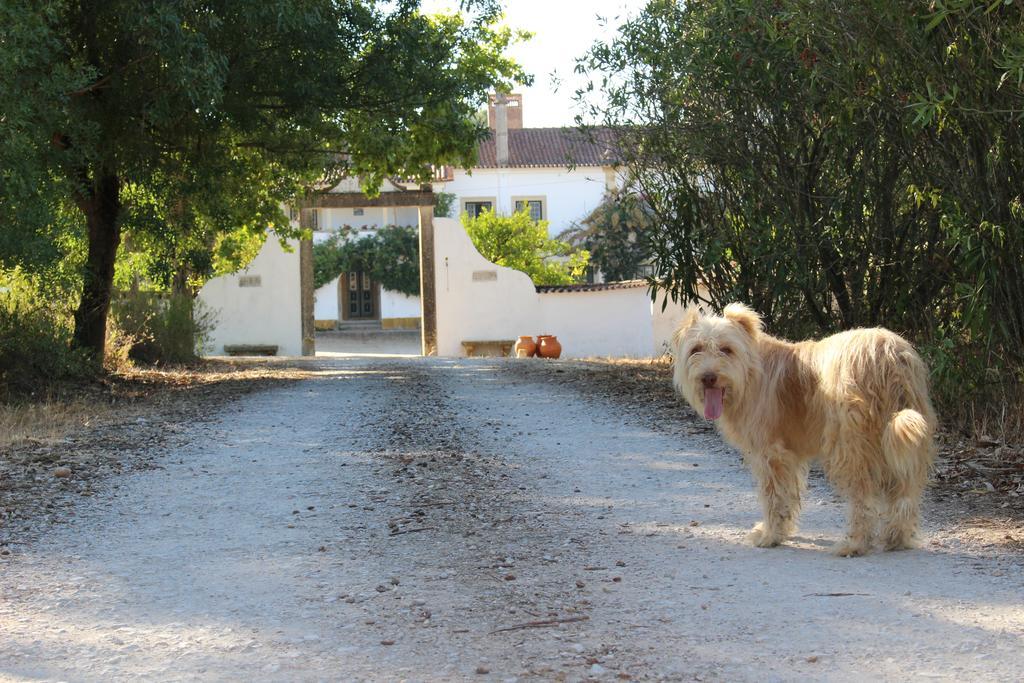 Quinta Do Valle Tomar Bagian luar foto